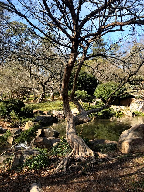 images from the birmingham botanical gardens