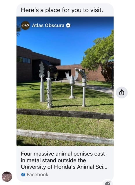 https://www.atlasobscura.com/places/some-were-quite-blind