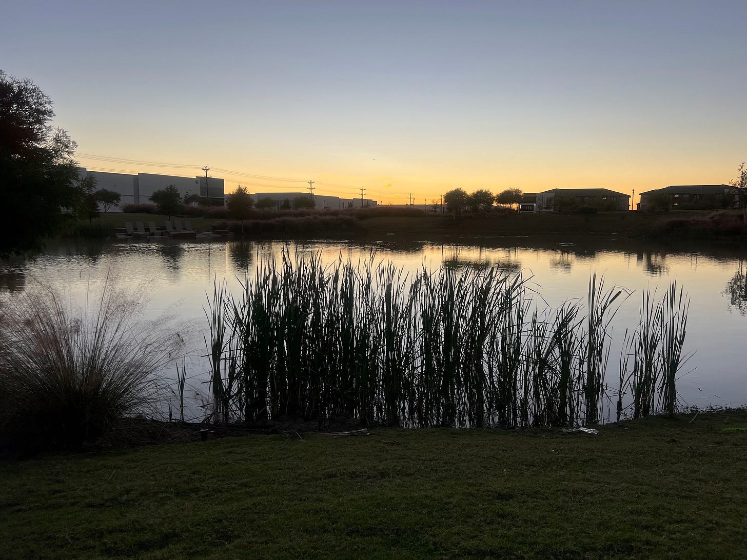 a photo of a pond through cattails that are near it. The sky in the background is light blue at the top and orange towards the bottom because of sunset.