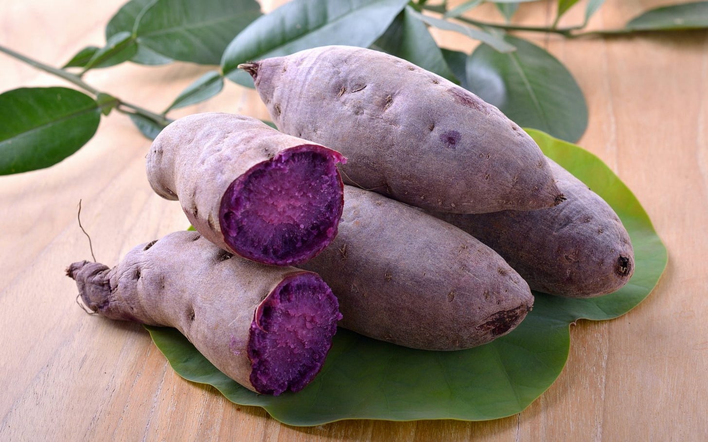 More Than a Trend: The History of Ube and What It Means to ...