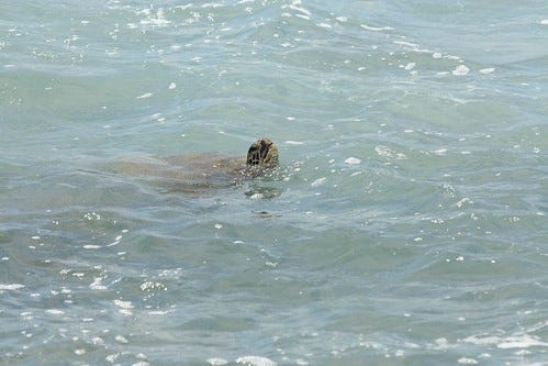 IMG_2327 IMG_2327