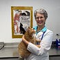 Dr. Sally J. Foote's avatar