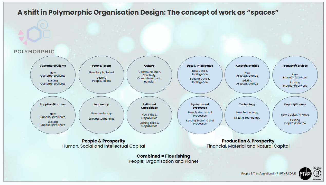Polymorphic Organisations - Part III - by Perry Timms