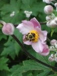 DSCF1311 DSCF1311