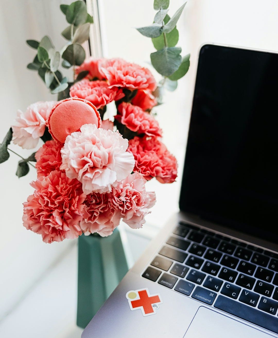 pink flowers on macbook pro pink flowers on macbook pro