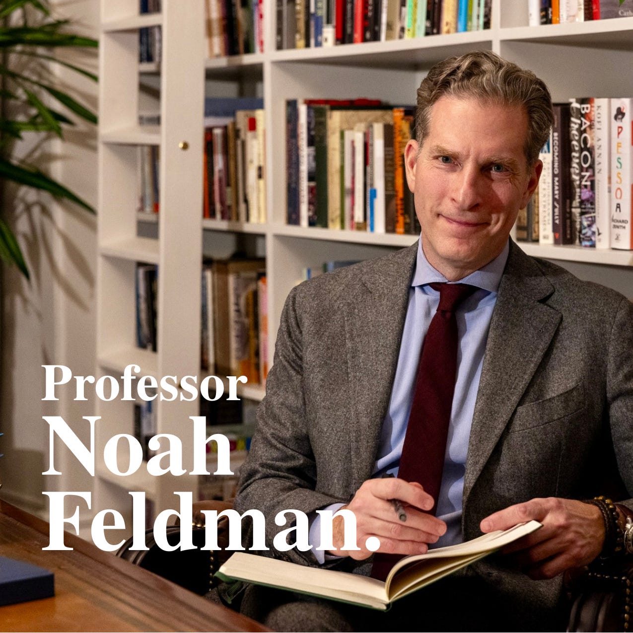 Professor Noah Feldman logo