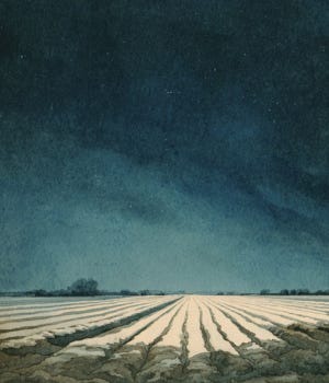 watercolor illustration of a neutralized field under moonlight