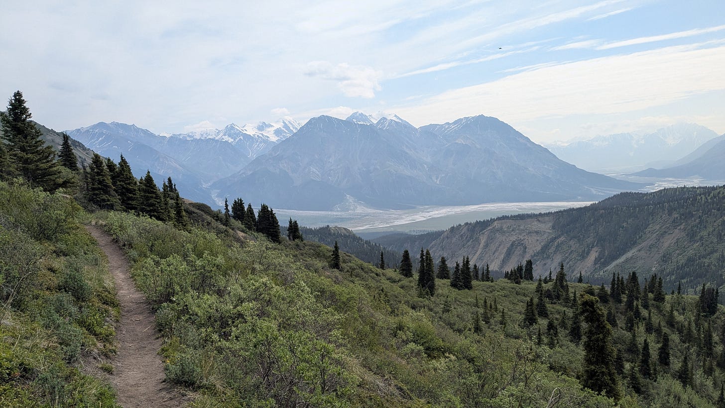 View of Sheep's Creek Trail in Kluane National Park.