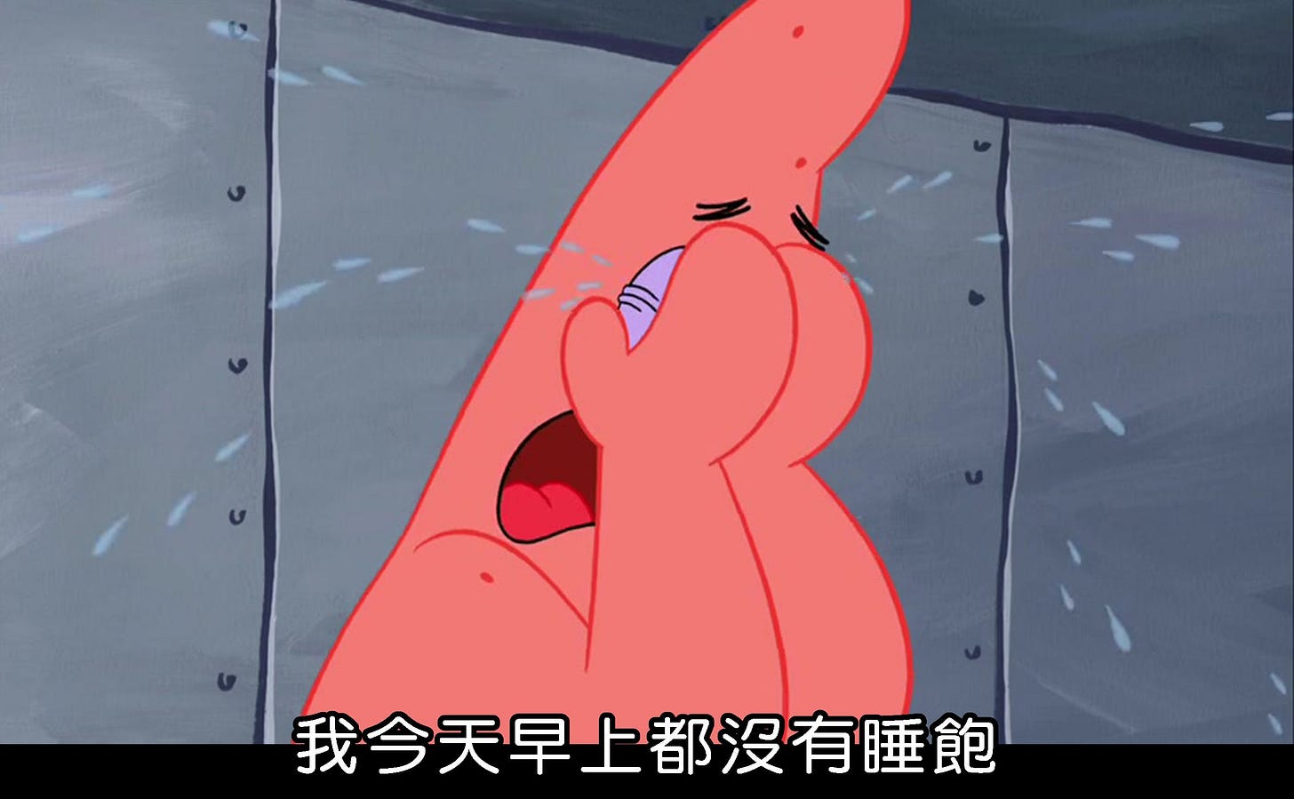 20張超好笑【海綿寶寶我今天早上都沒有睡飽】梗圖!快來看看網友們的搞笑創作! 20張超好笑【海綿寶寶我今天早上都沒有睡飽】梗圖!快來看看網友們的搞笑創作!