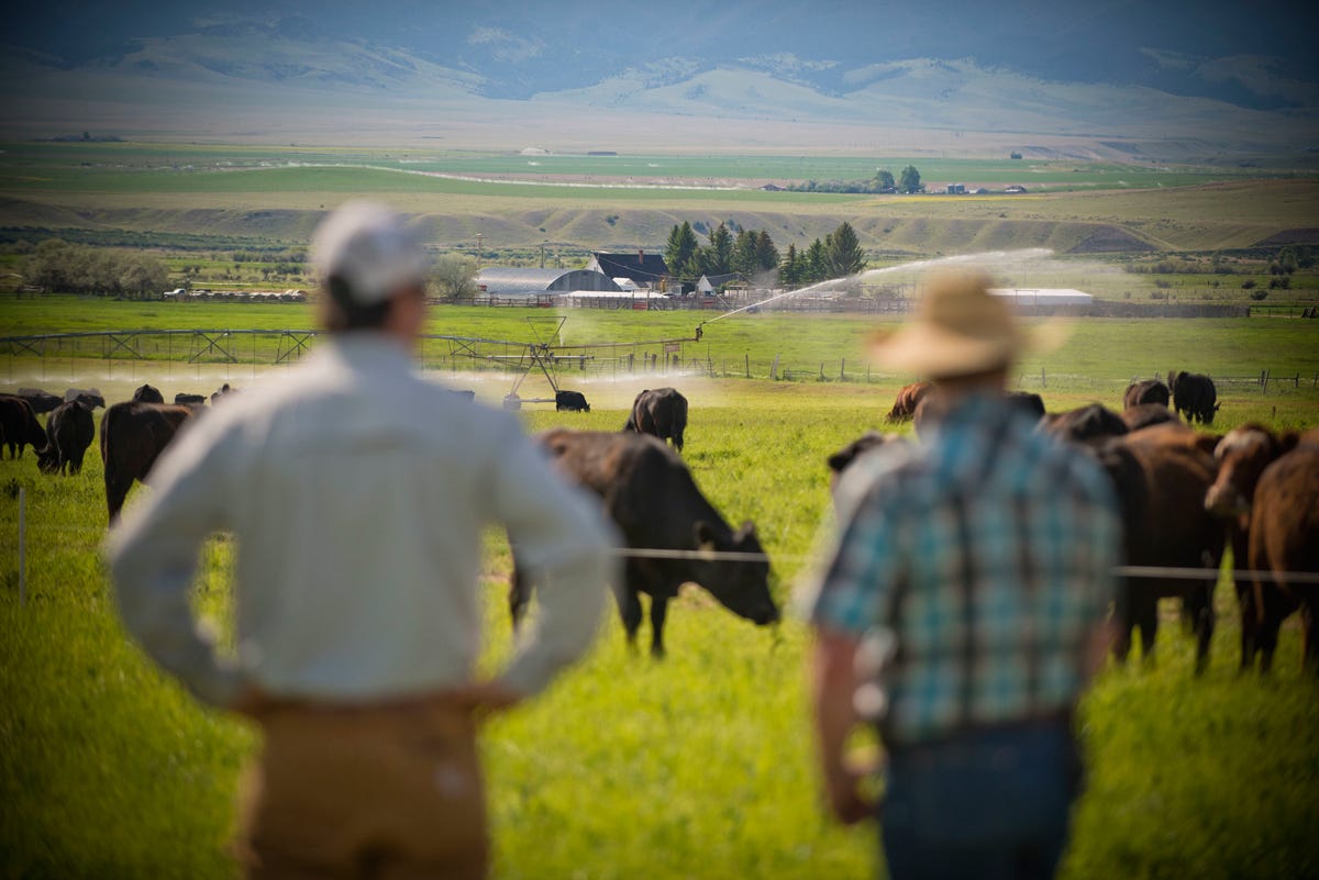 The Plant-Based Movement to Transition Farmers Away from Meat and Dairy  Production | Civil Eats