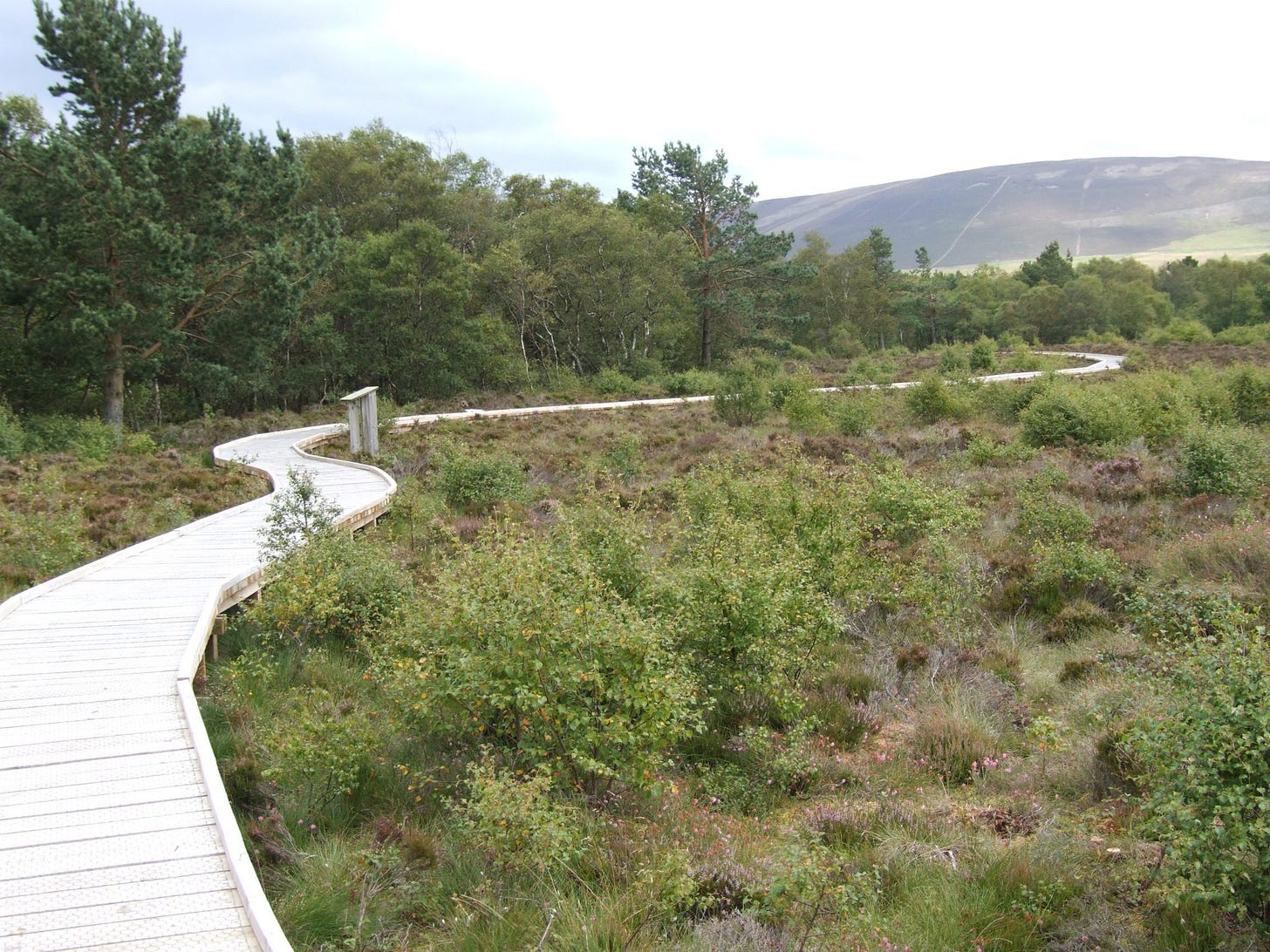 Red Moss of Balerno | Scottish Wildlife Trust