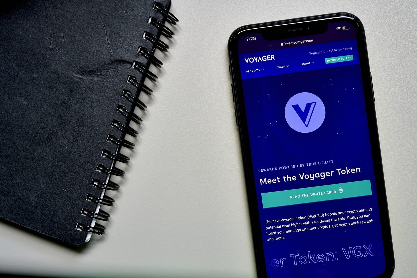 Voyager Seeks Bankruptcy As Crypto Mogul's Lifeline Fails