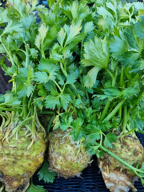 At the farmers' market December