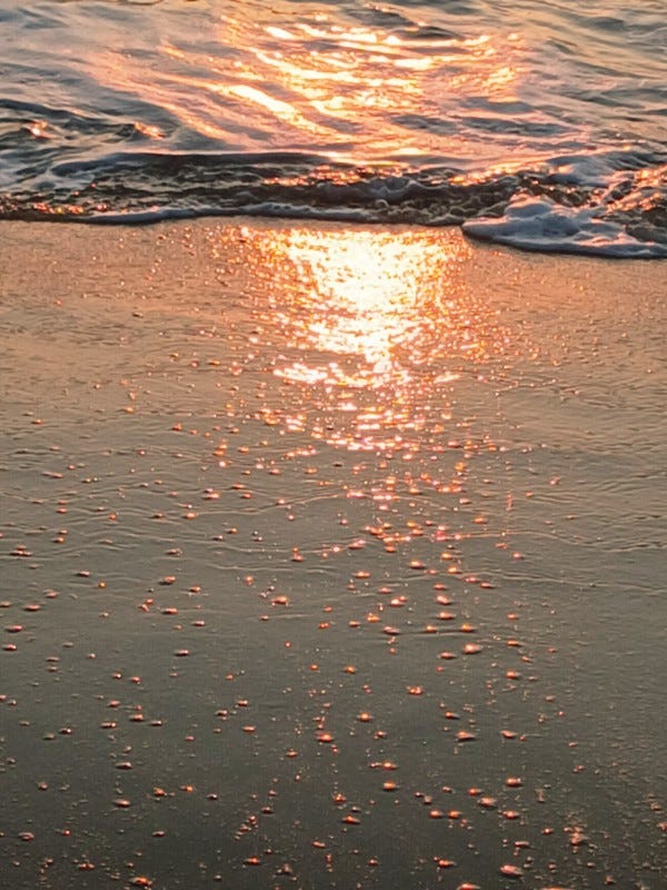Photo en gros plan du rivage de l'océan au coucher de soleil, juste après qu'une vague se soit retirée: on voit le sable humide recouvert de petites bulles d'écume et des reflets orangés du soleil couchant avec en arrière plan l'écume de la vague qui s'est retirée