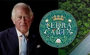 Image result for tera carta