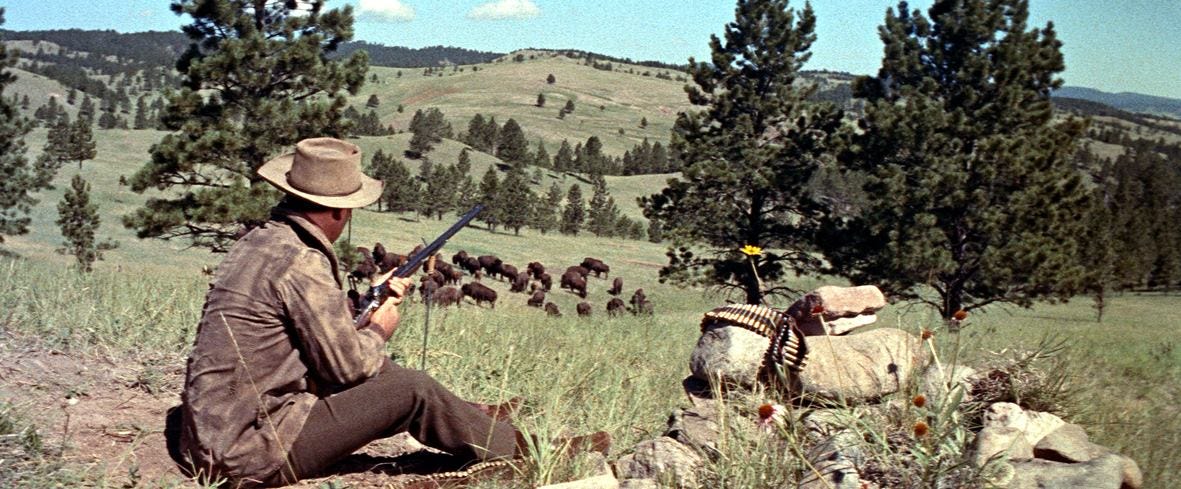 The Last Hunt (1956)