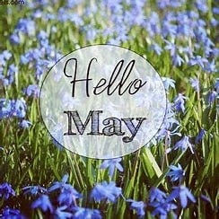 Field of little blue flowers with "Hello May" in image