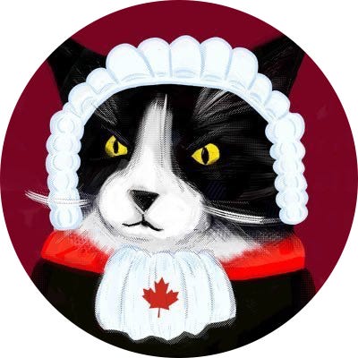 The Court Cat Newsletter