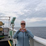 Old Lady at Sea