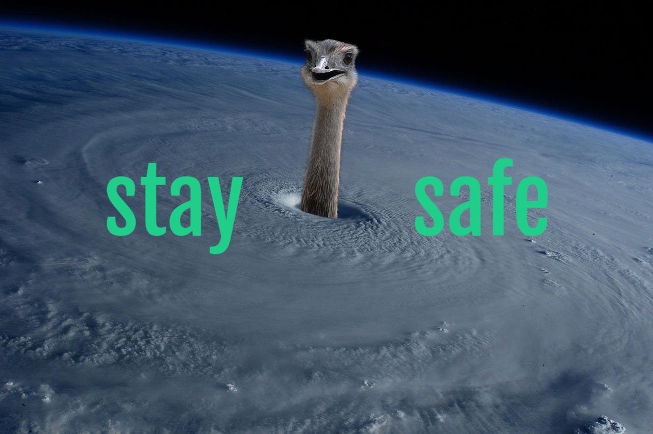 light-hearted image of an ostrich head in the eye of a storm seen from space