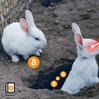 ビットコインの哲学的な伝道師「Der Gigi」の紹介🐇#43