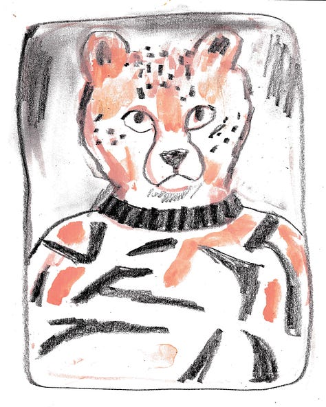 animal school photos illustrated by Beth Spencer