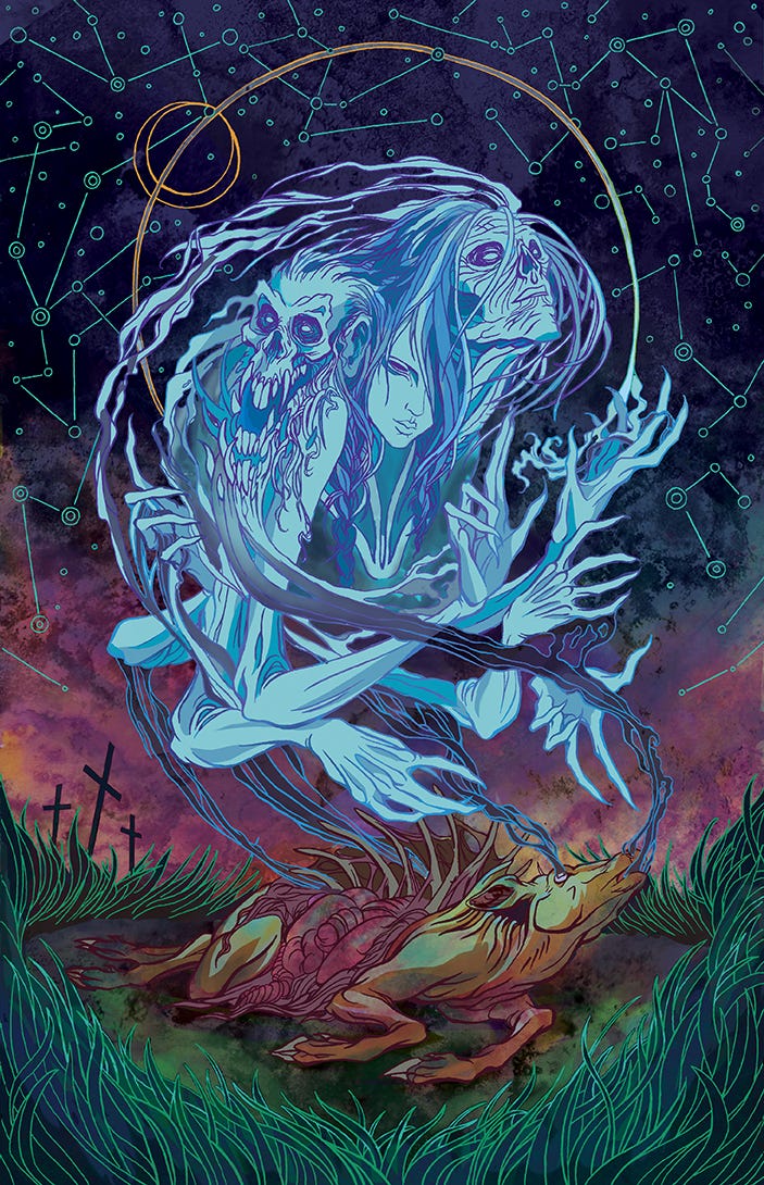 Illustrations by Morgan Shay