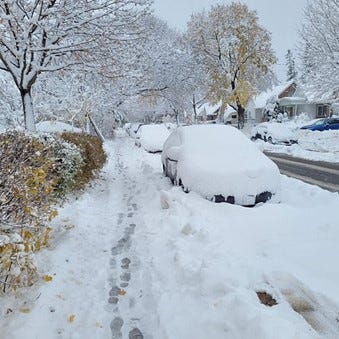 Street covered in deep snow with parked cars and trees blanketed after a winter storm.