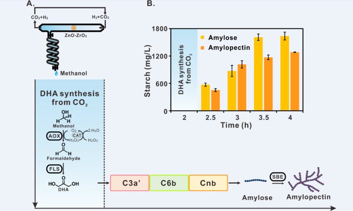 Starch synthesis via artificial starch anabolic pathway (ASAP) from carbon dioxide