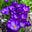 Tabs Harrison's avatar