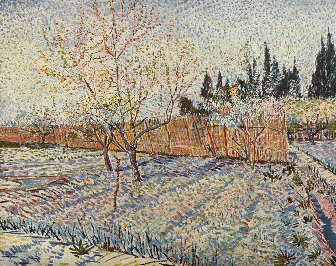 Van Gogh Orchard with Cypresses Van Gogh Orchard with Cypresses
