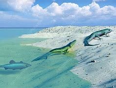 Image result for evolution tetrapods