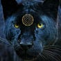 Estrella Panthera's avatar