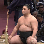 Sumo Stomp! | Tim Bissell | Substack