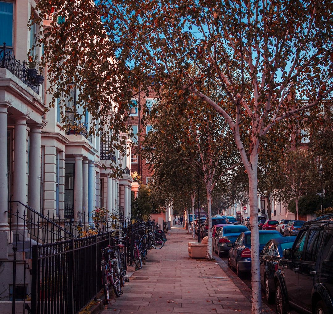 cars parked on sidewalk near trees and buildings during daytime