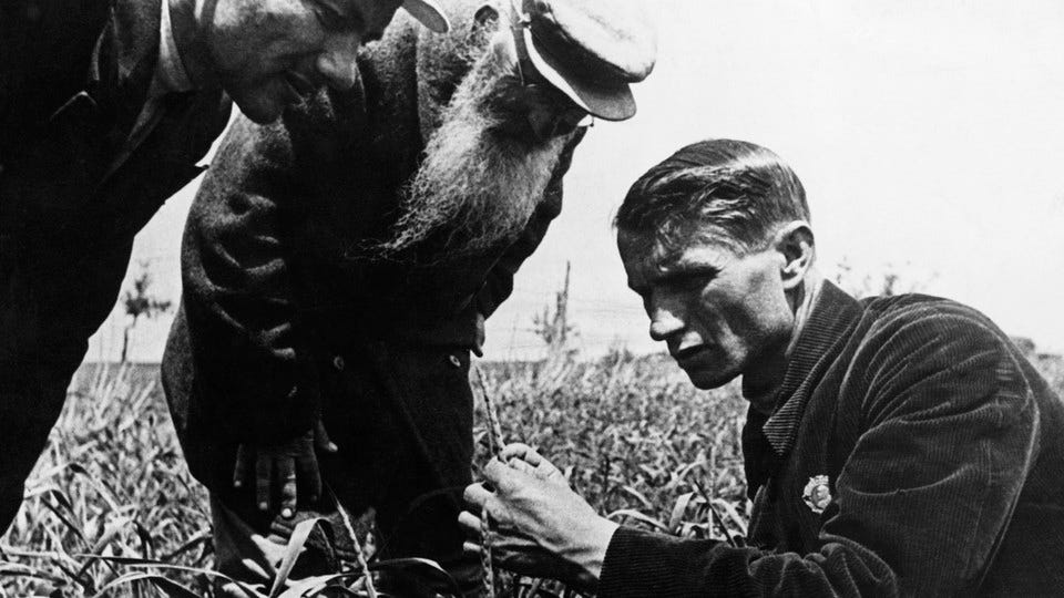 Trofim Lysenko, the Soviet Era's Deadliest Scientist, Is Regaining  Popularity in Russia - The Atlantic