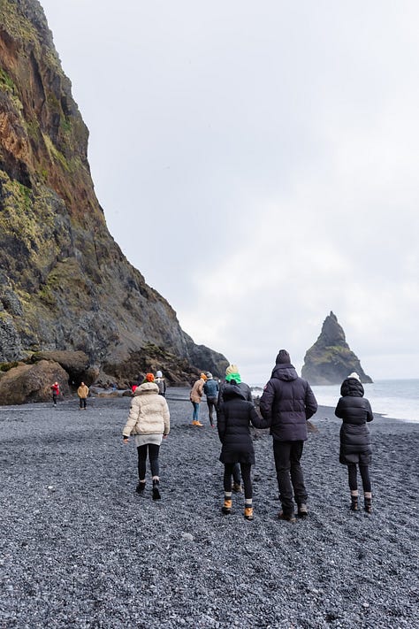 Photo of a coffee cup on a window sill with a view of the outside: green and yellow grass covering rolling hills and gray houses in the middle ground and towering mountain with jagged peaks in the far ground; photo of group of people from behind in winter wear walking along a black sand beach with a tall dark rocky mountainside to the left and a jagged rocky cone island in the background; photo of a black sand beach with large smooth gray and black pebbles in the foreground and disappearing into the horizon with a setting sun; photo of a group of people walking on a stone path with jagged black rocks walling both sides and one woman looking back at the camera; photo of a man and woman smiling posing at a lookout point with large waterfalls in the background below; photo of a woman smiling and holding up a phone, standing on a painted hopscotch on the ground in a bustling pedestrian-only city street; photo of a caramel colored cow being pet on its nose, looking at the camera, and resting its chin on the back of the neck of another cow; photo of a man looking down at his phone as he rests one foot on a higher step of a wall of rocky Basalt columns; photo of several sheep grazing on a field of green grass with a few white buildings in the background and rolling green and yellow-green hills in the distant background.