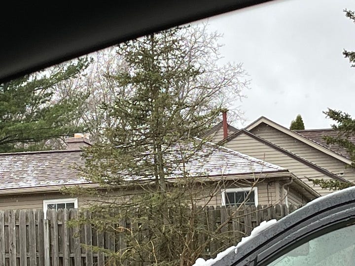 Tree Swallow on a bird house; snow on a roof