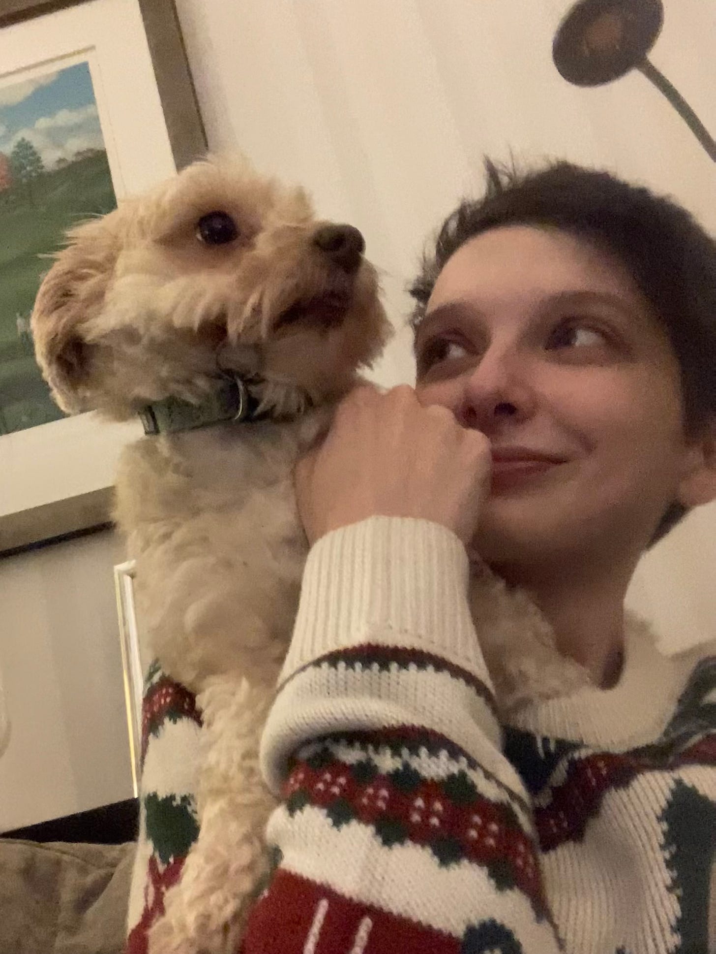 Asta, a small fluffy golden dog climbing on Beck's shoulder from the back of a sofa. Beck is wearing a christmas jumper and staring lovingly at this tiny dog whose paw is slipping down the neck of their jumper.