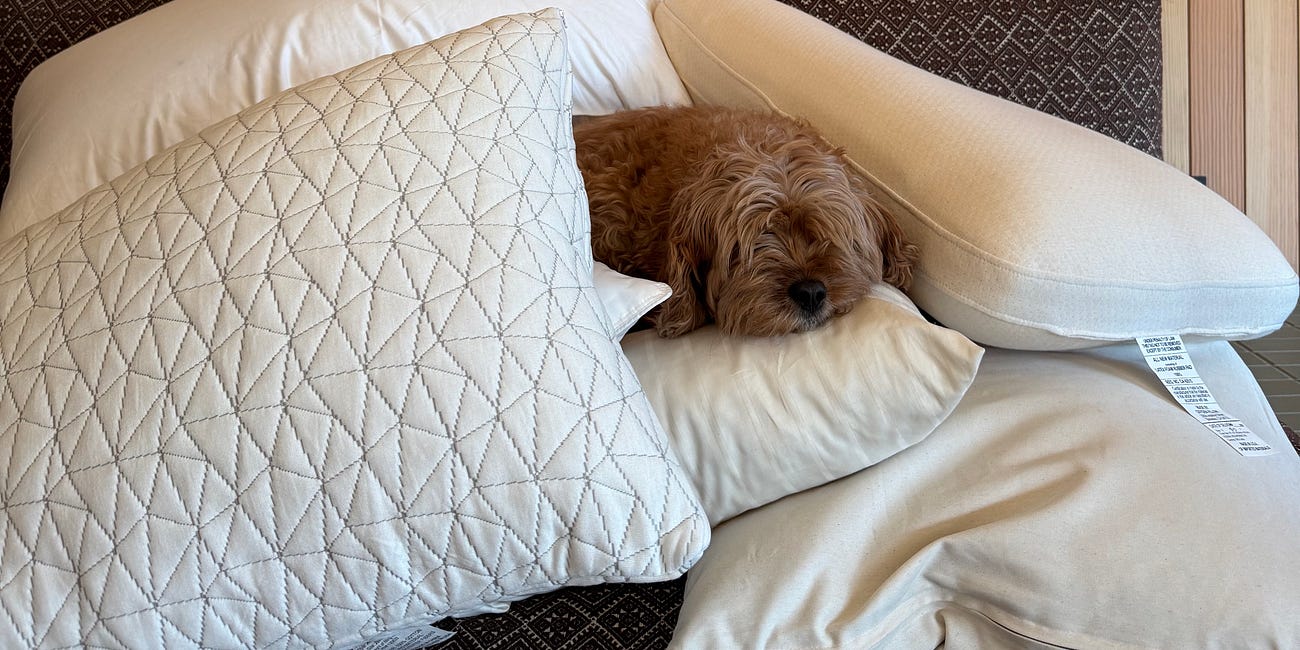 A pillow primer, based on your recs