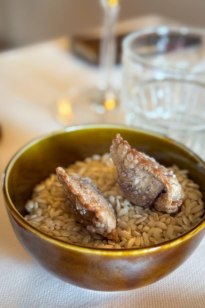Purple carrot fried ravioli and a bundle of grissini