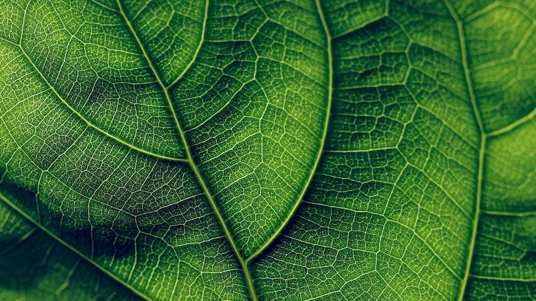 BioStrand's Major Breakthrough in Life Sciences: A New Era of AI-Based Research