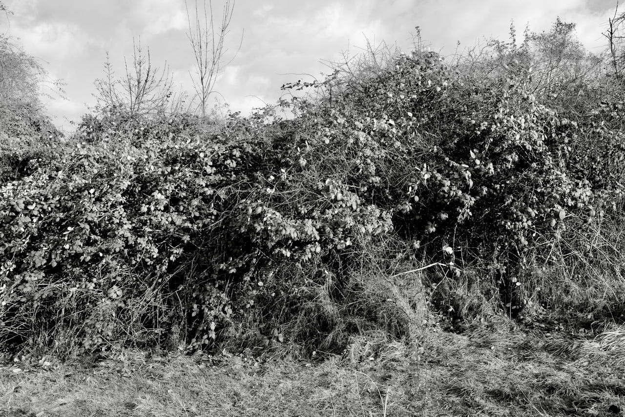 Natur – Sascha Büttner Fotografie