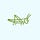 Grasshopper 草蜢