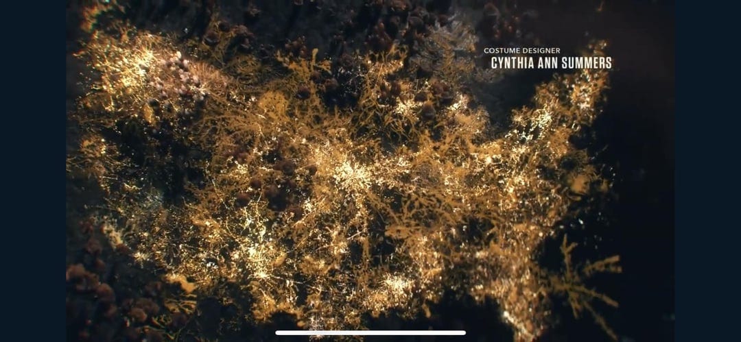 Just noticed the intro in the TV show makes up a map of the U.S covered  with fungi! : r/thelastofus