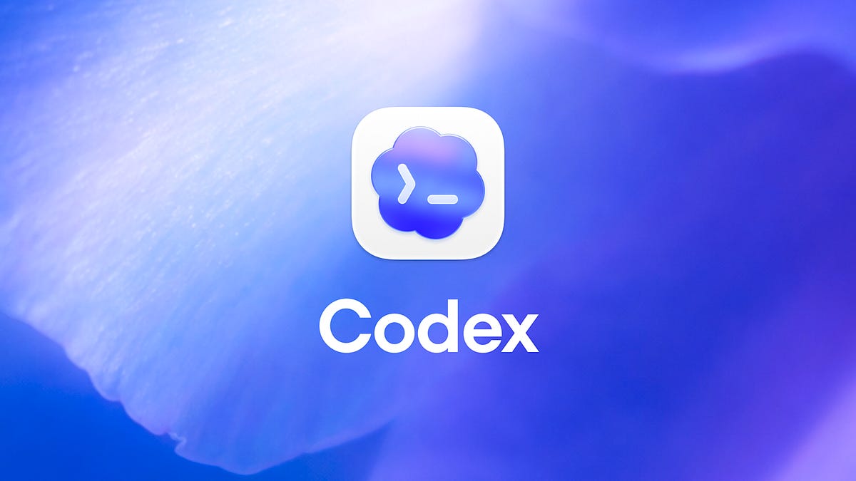Day 9 of Publicly Documenting How I’m Using Codex to Solve My Problems