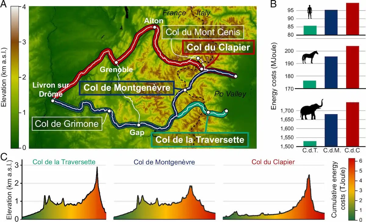 **Figure X.** (A) Proposed routes for Hannibal’s crossing of the Alps. Background colors indicate elevation, and white lines show all candidate routes. Colored lines highlight the three highest-ranked routes. Elevation data courtesy of NASA. (B) Cumulative direct energy costs for the three highest-ranked routes, calculated for a single soldier, horse, and elephant. Route colors correspond to those shown in panel A. Values include only direct locomotion costs and exclude additional expenditures, such as transporting supplies or supporting noncombatant personnel. (C) Elevation profiles of the three highest-ranked routes. Colors indicate the cumulative energy cost incurred by Hannibal’s army along each route. **Credit:** E. Berti and F. Vollrath (2026).
