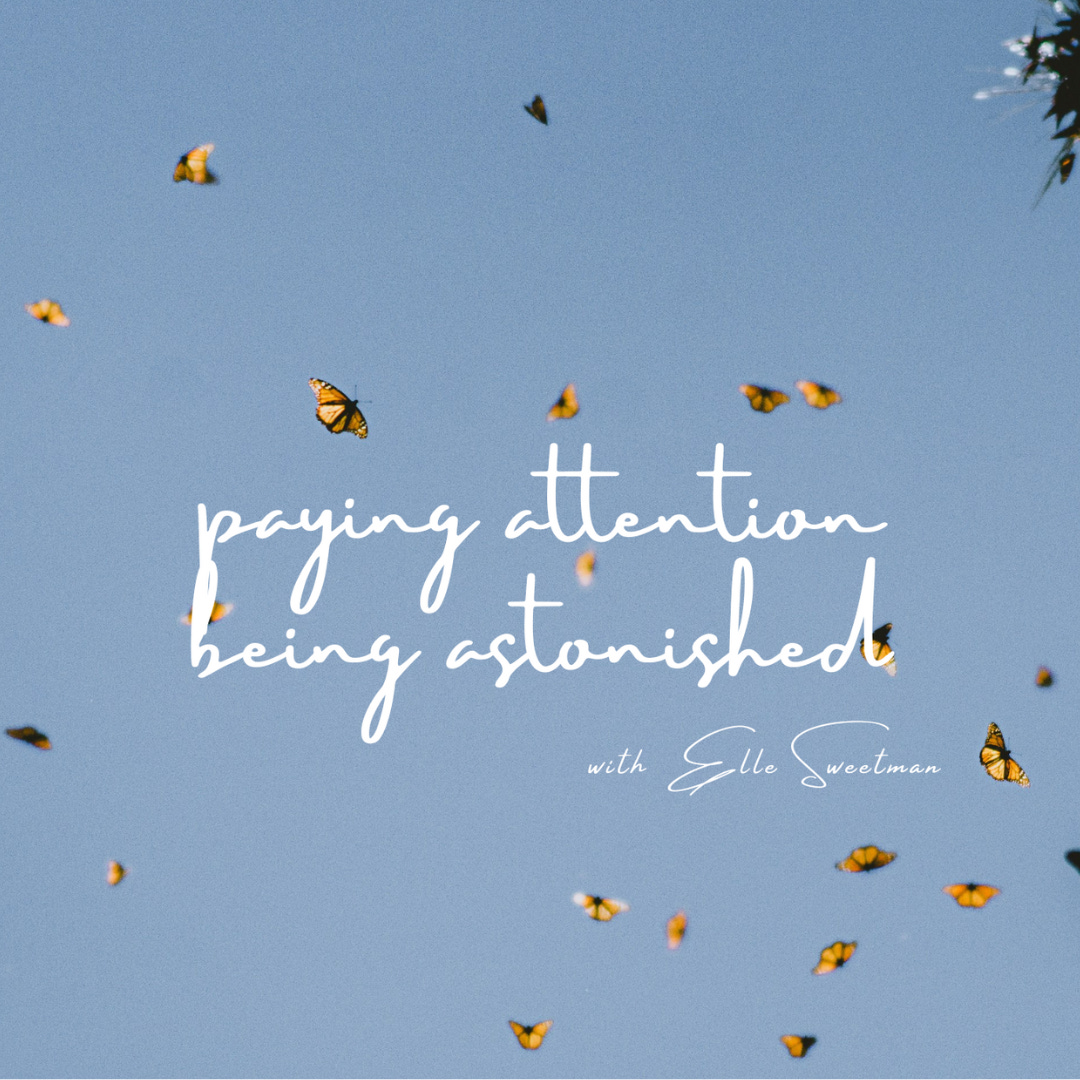 Paying Attention, Being Astonished 