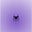 Hauwa's avatar