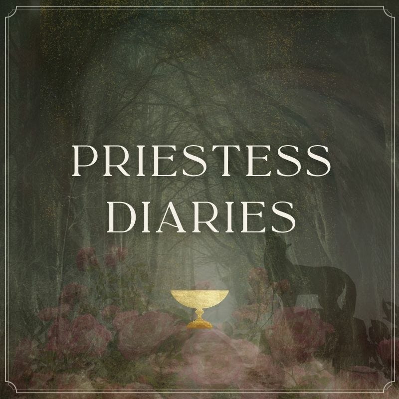 Priestess Diaries ꩜